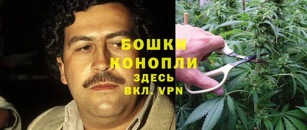 экстази Новодвинск