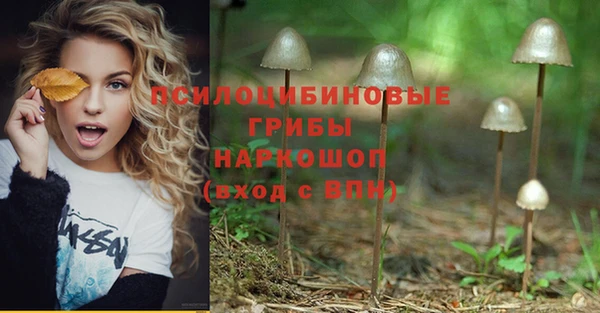 мдпв Нефтекумск