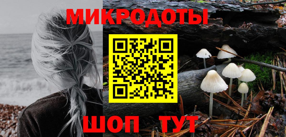 Галлюциногенные грибы Psilocybe  Шебекино  Галлюциногенные грибы MAGIC MUSHROOMS 