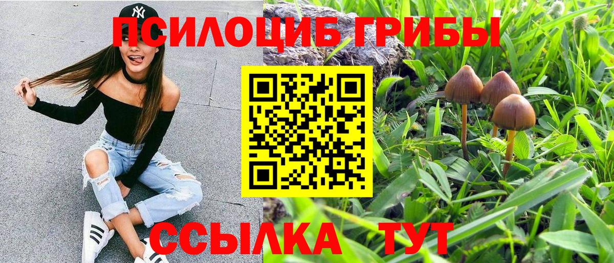 Псилоцибиновые грибы Psilocybine cubensis  Вход с VPN  Псилоцибиновые грибы ЛСД  Шебекино 