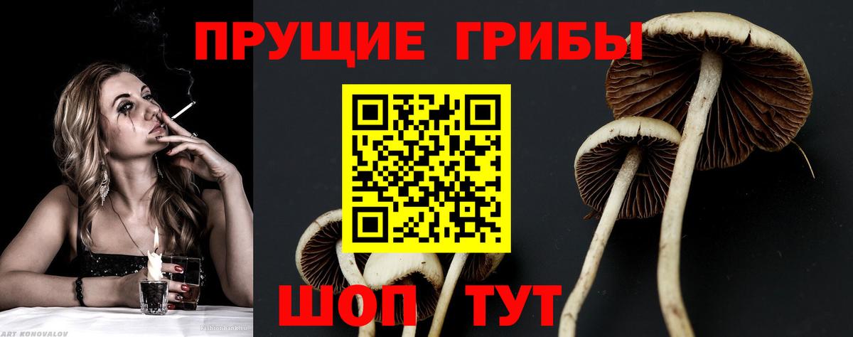 Галлюциногенные грибы ЛСД Шебекино